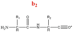 Fragmentation de la série b