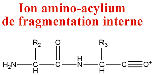 Structure d'un ion amino-acylium